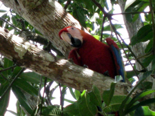 Costa Rica-Pacific Coast-Colonial Trails of Costa Rica